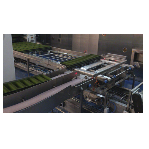 Industrial bakery conveying solutions