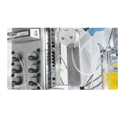 Benchtop bioreactors for microbial fermentation