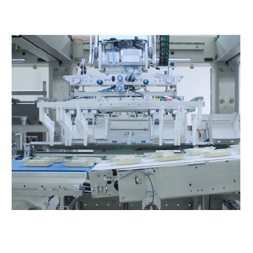 Case packer for diverse packaging needs