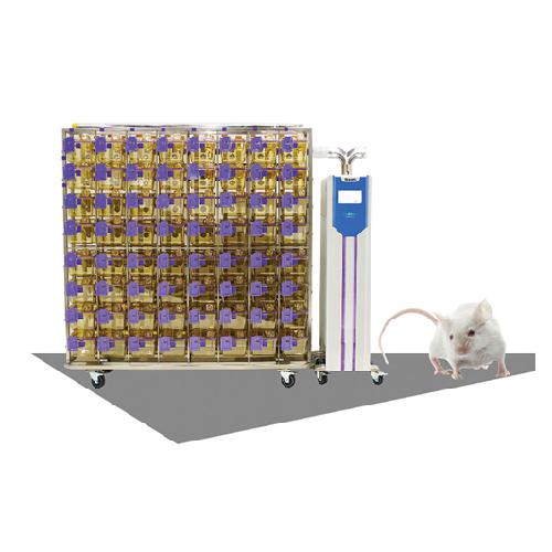 Individually ventilated cage system for Spf rodents