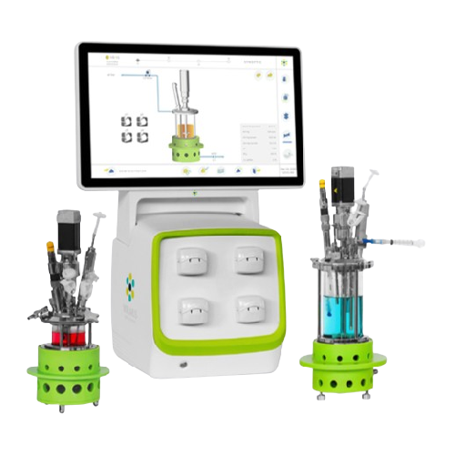 Benchtop electric mini fermenter for process development