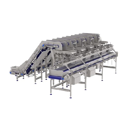 Automatic recipe conveyor for leafy vegetables