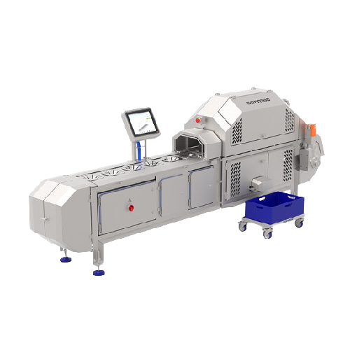 Iceberg lettuce decoring and cutting system
