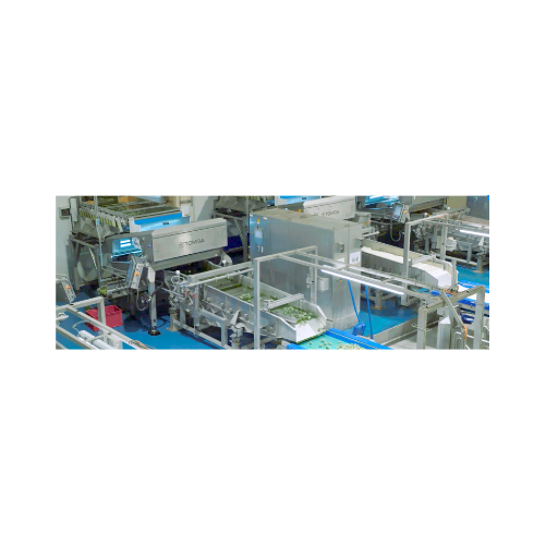 Blizzard sorter for Iqf fruits and vegetables