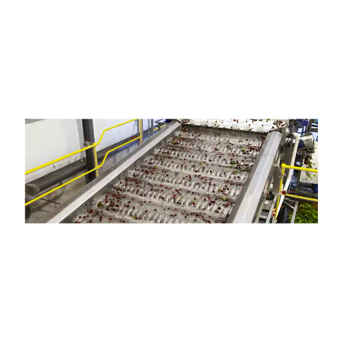 Cherry singulation system
