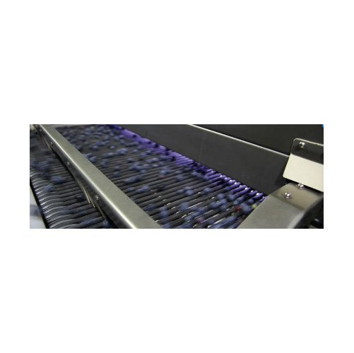 Color sorter for small fruits
