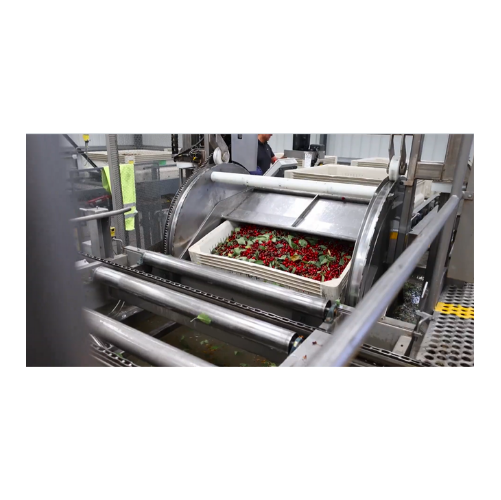 Cherry sorting system with deep learning technology