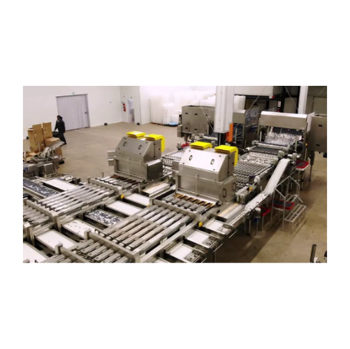 Blueberry sorting and grading system