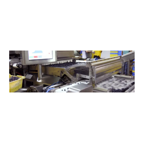 Soft fruit sorter for packing lines