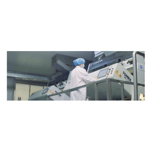 High-precision sorter for nuts, coffee, seeds, and grains