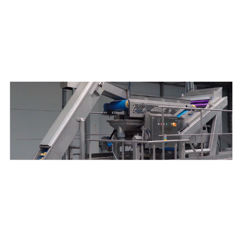 Optical sorter for nuts, dried fruit, and Iqf