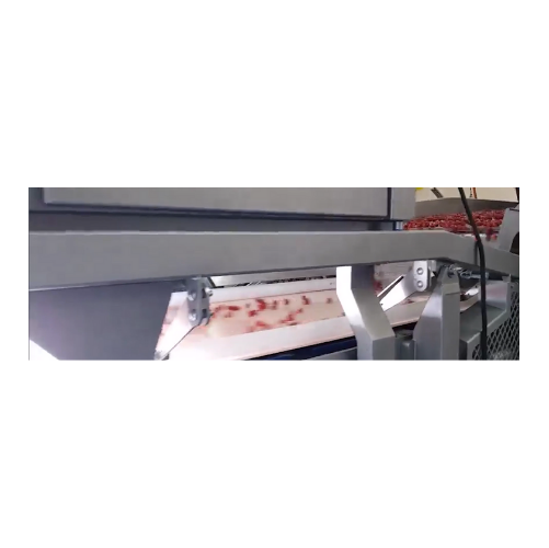 Belt sorter for potatoes and leafy vegetables