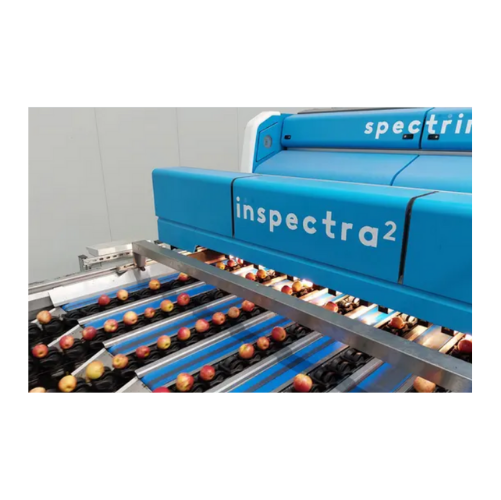 Advanced fruit sorting platform