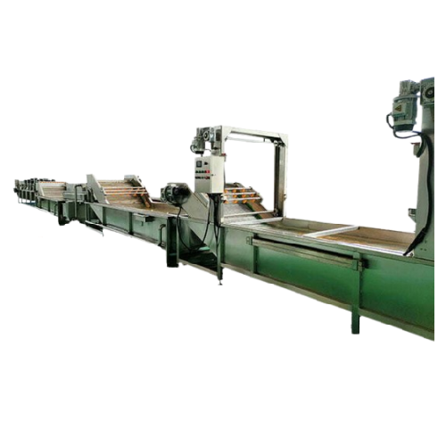 Date palm processing line for jujube cleaning and drying