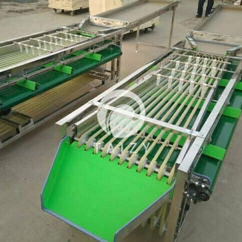 Jujube grading machine for round and oval fruits