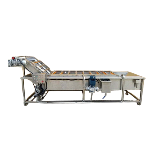 Industrial strawberry and blueberry washer