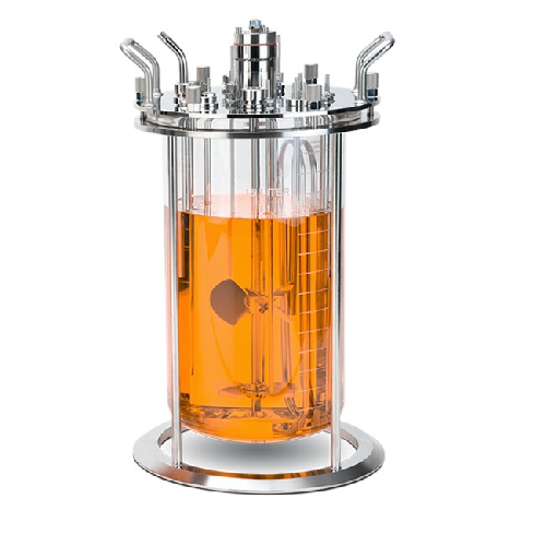Glass bioreactor for cell culture processes