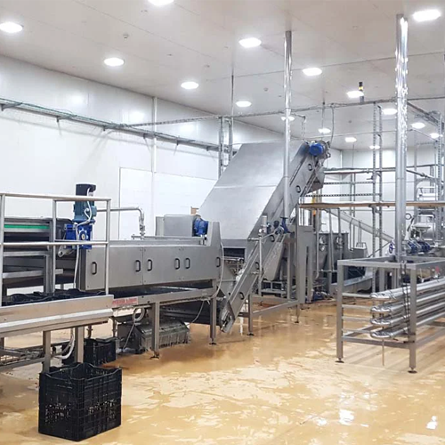 Multi-fruit extraction line for mango, guava, and passion fruit juice