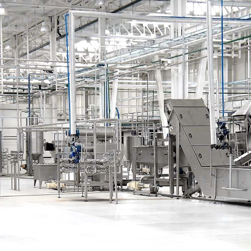 Multifruit processing line for tropical and temperate fruits