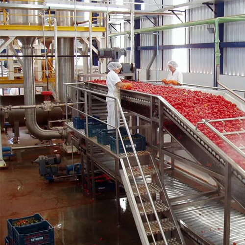 Tomato paste production line