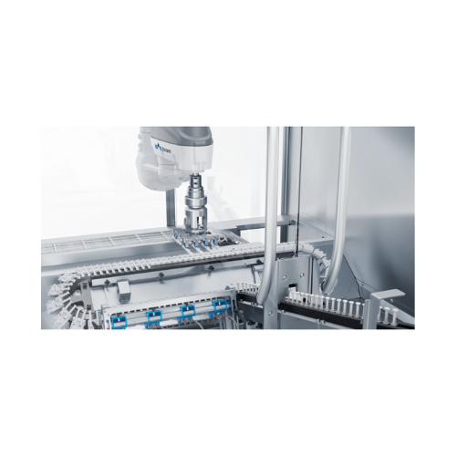 Water revitalizer for enhanced hydration and vitality