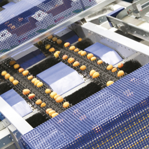 Grading and sorting solutions for apricots