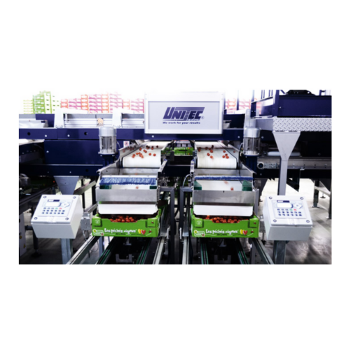 Sorting and grading systems for cherry tomatoes