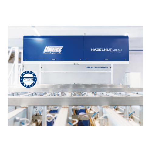 Hazelnut sorting and quality selection system