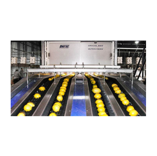 Lemon sorting and grading system