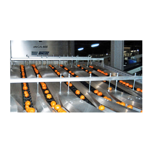 Mandarin and clementine processing sorting and grading system