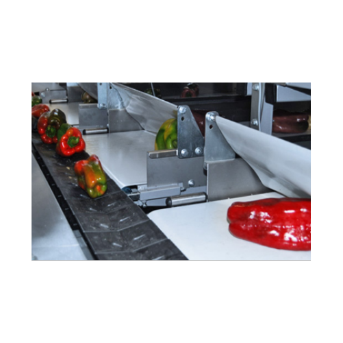 Pepper sorting and grading technology