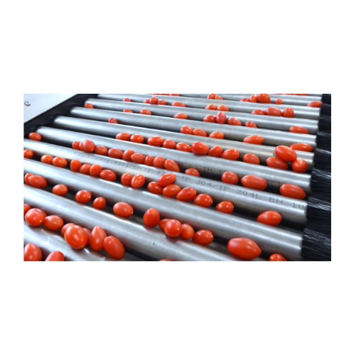Rubin cherry tomato sorting and grading system