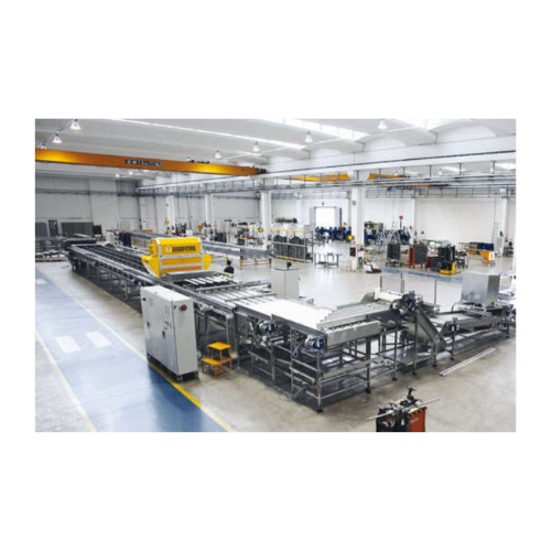 Avocado sorting and processing systems