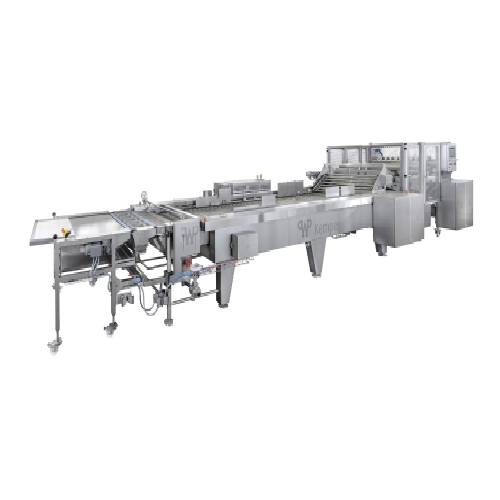 Automatic fryer for producing donuts and ball donuts