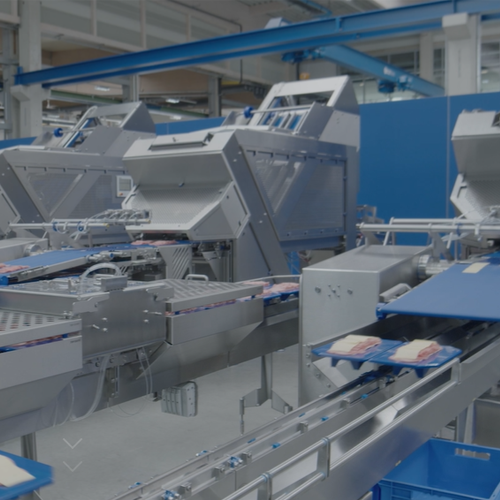 Automated insertion system for food processing