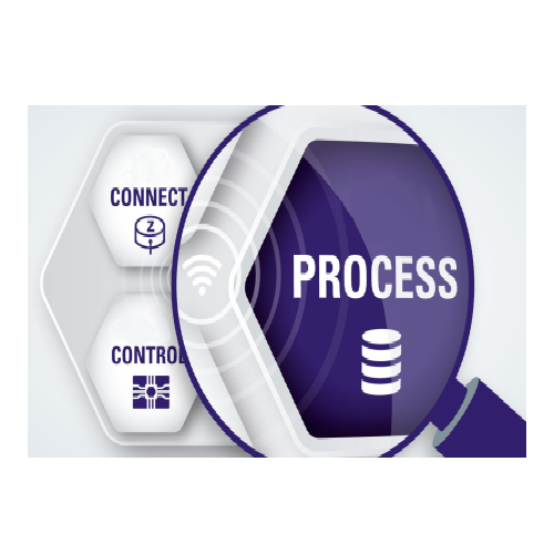 Autonomous process control for petrochemical and food industries