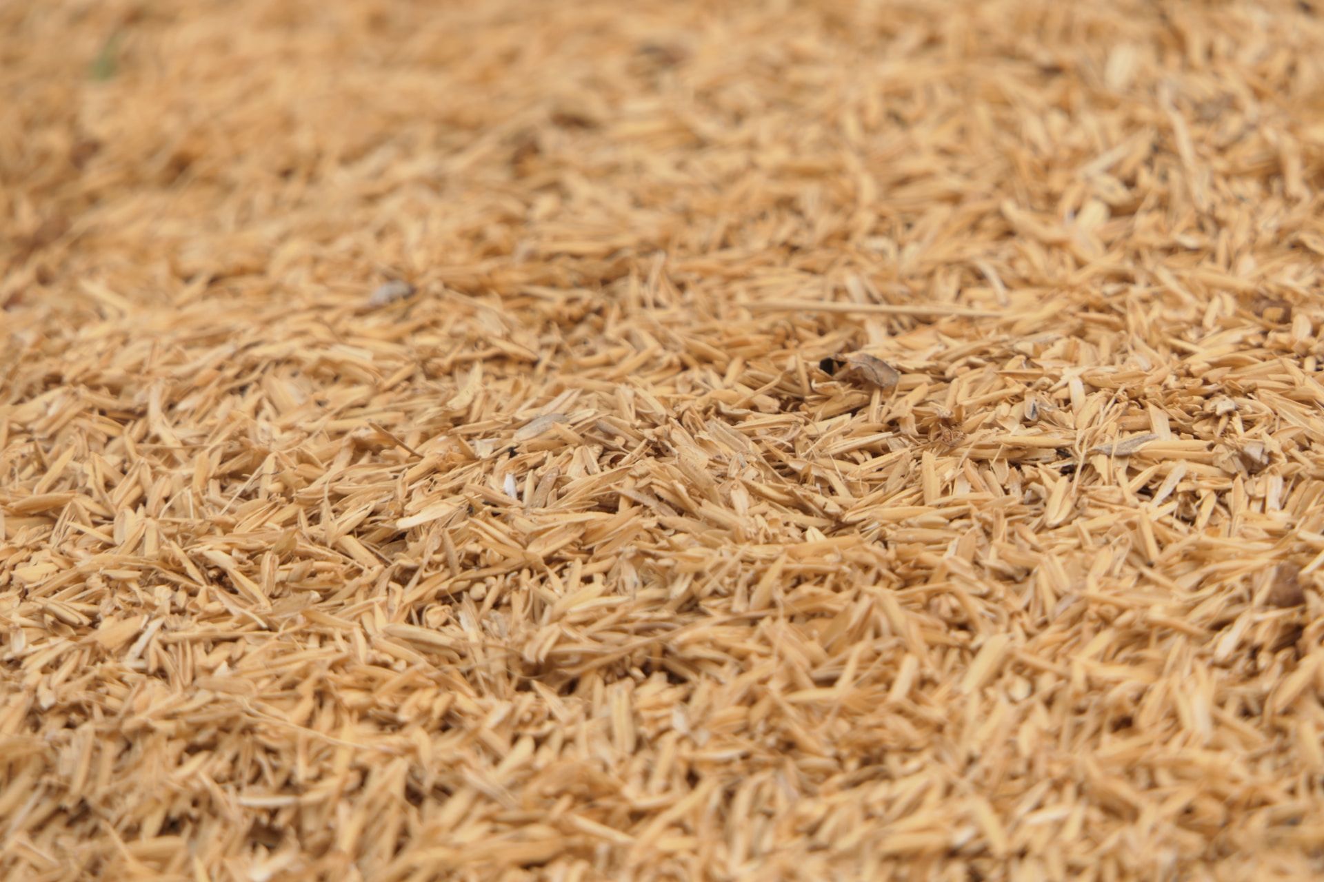 High-efficiency bran finishing solution