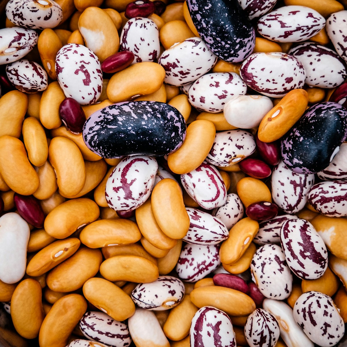 Beans
