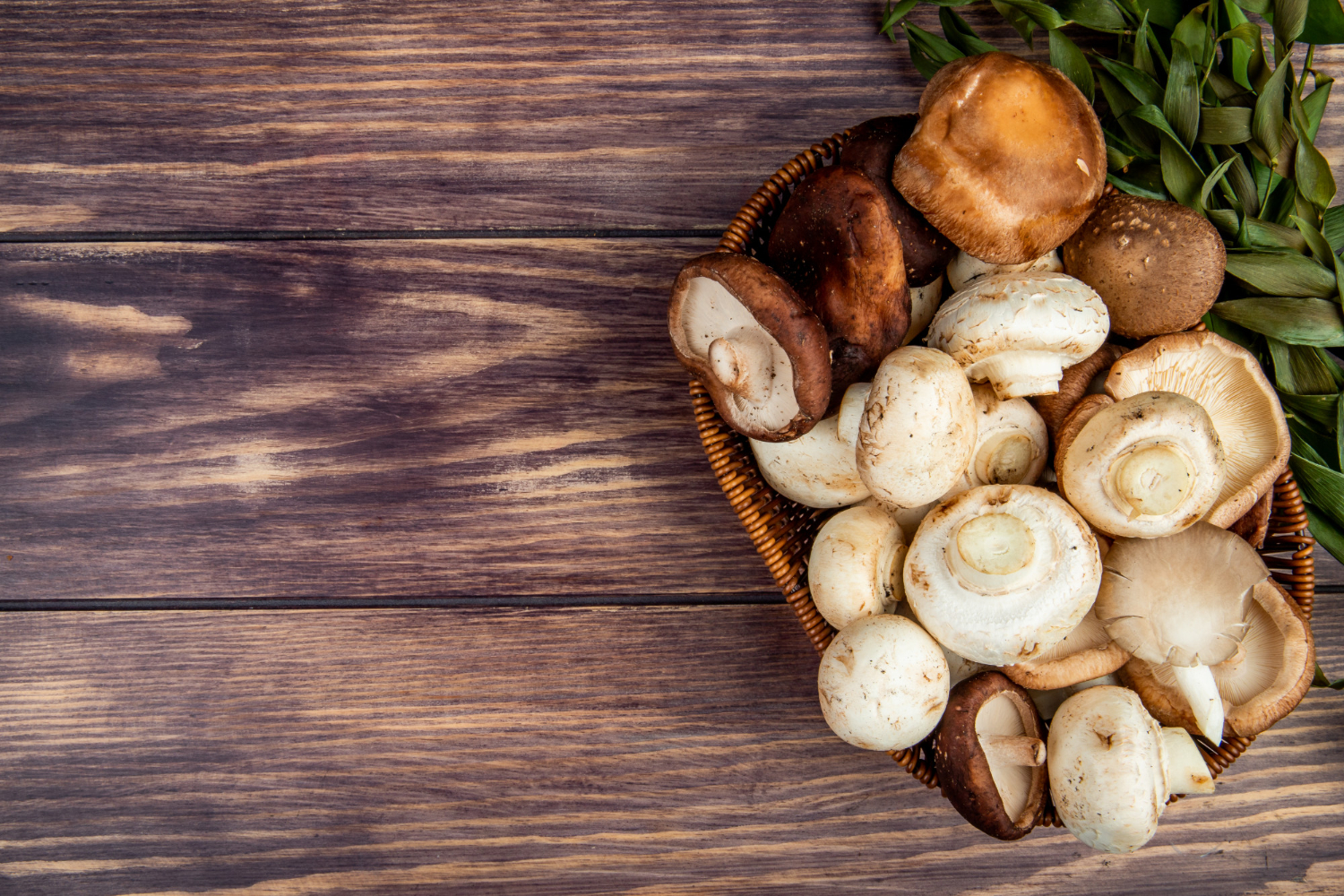 Mushrooms