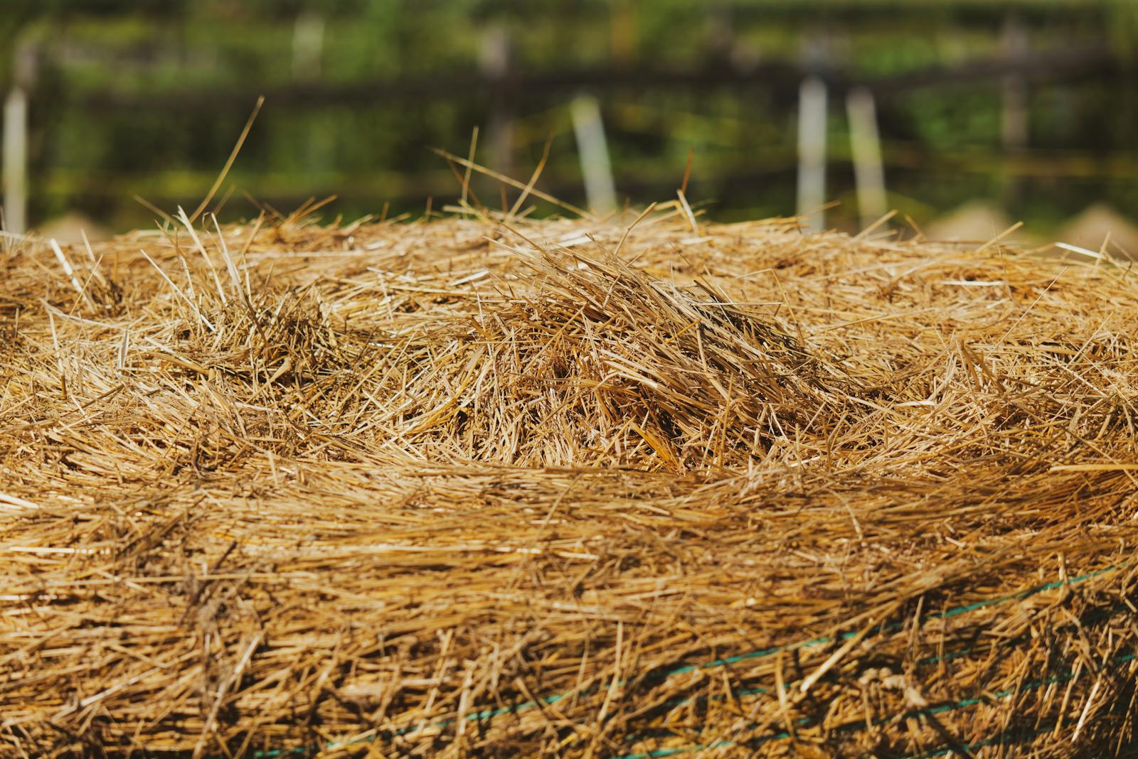 A detailed close-up of a hay bale in Garešnica's rural landscape, perfect for agricultural themes.