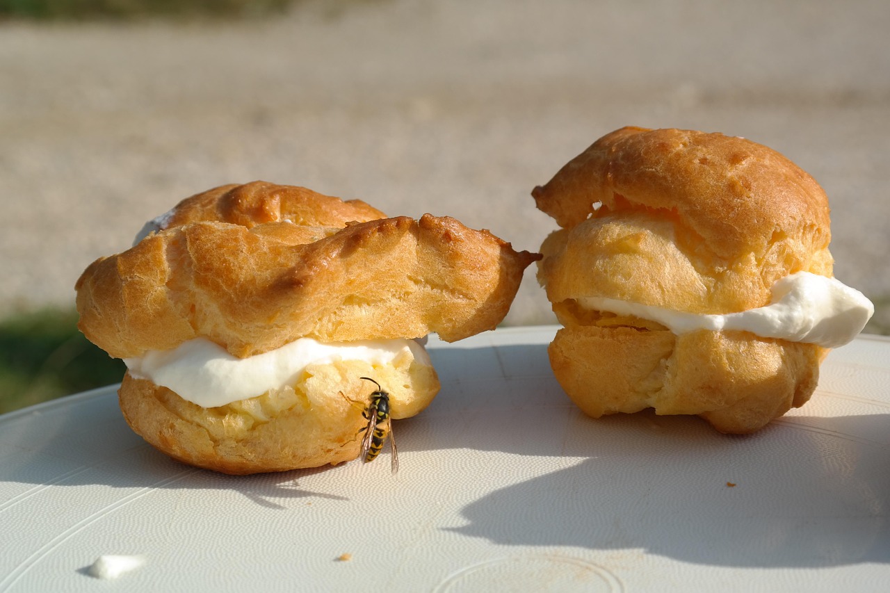cream puff, pastries, cream, yummy, cute, dessert, creamy, wasp, cream puff, cream puff, cream puff, cream puff, cream puff