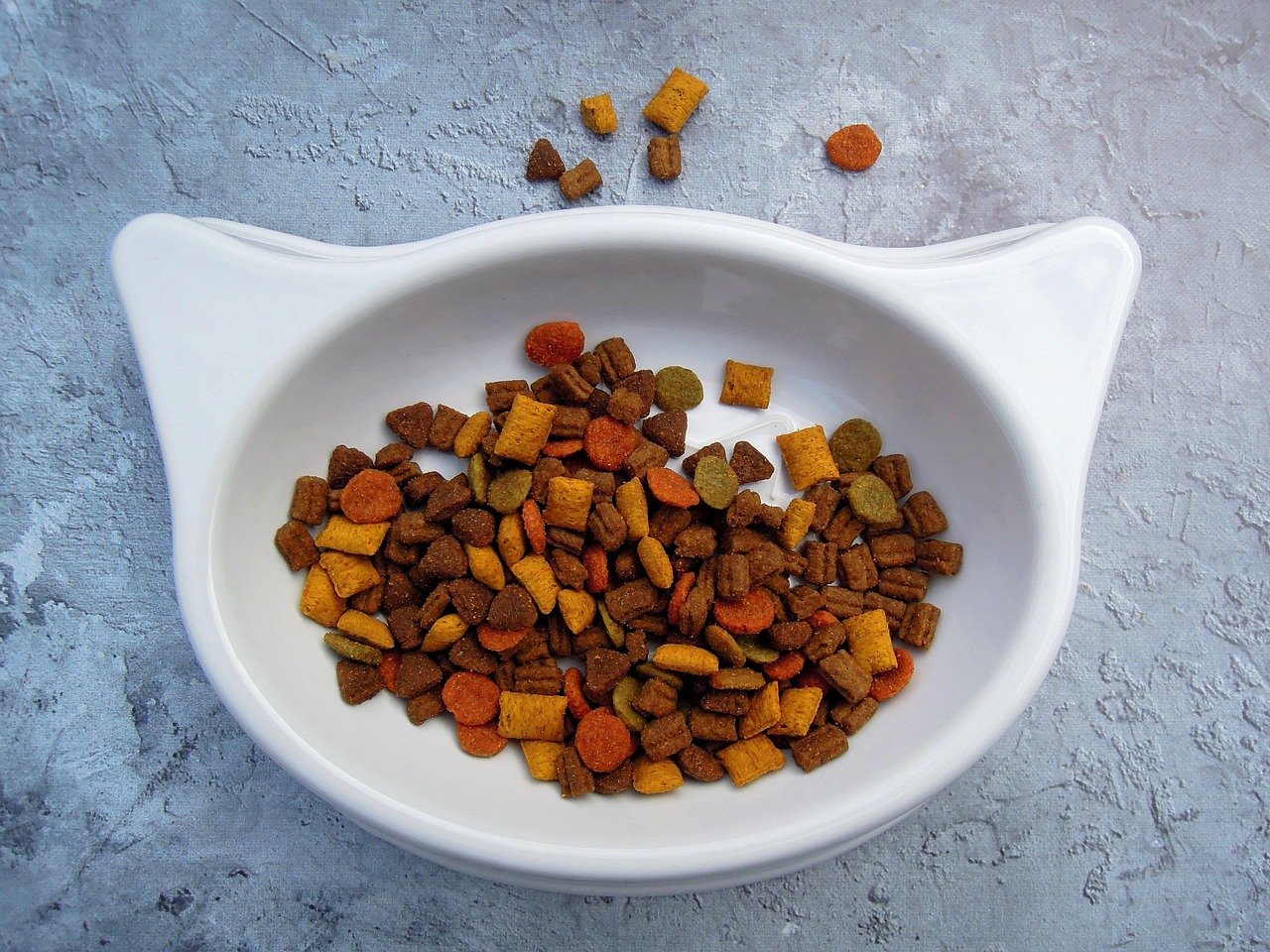 cat, pet, food, pet food, animal, cat food, dry food, bowl, white, color