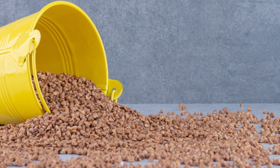 Animal feed additives