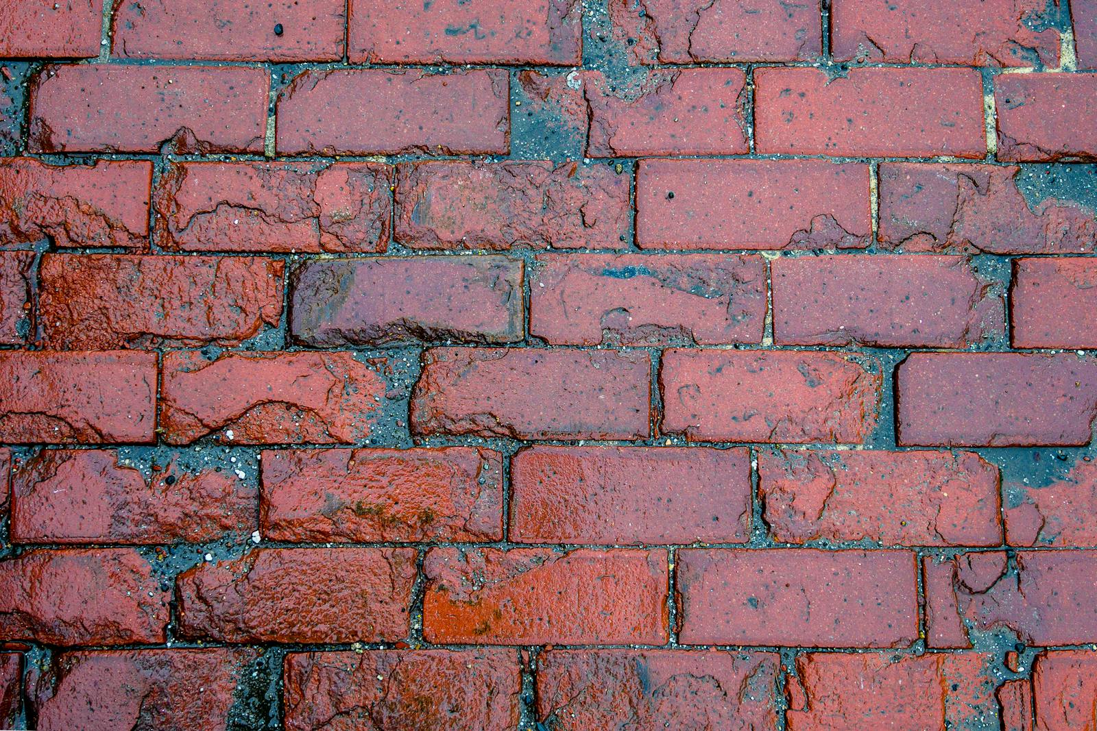 Close-up of a wet red brick wall showcasing texture and detail.