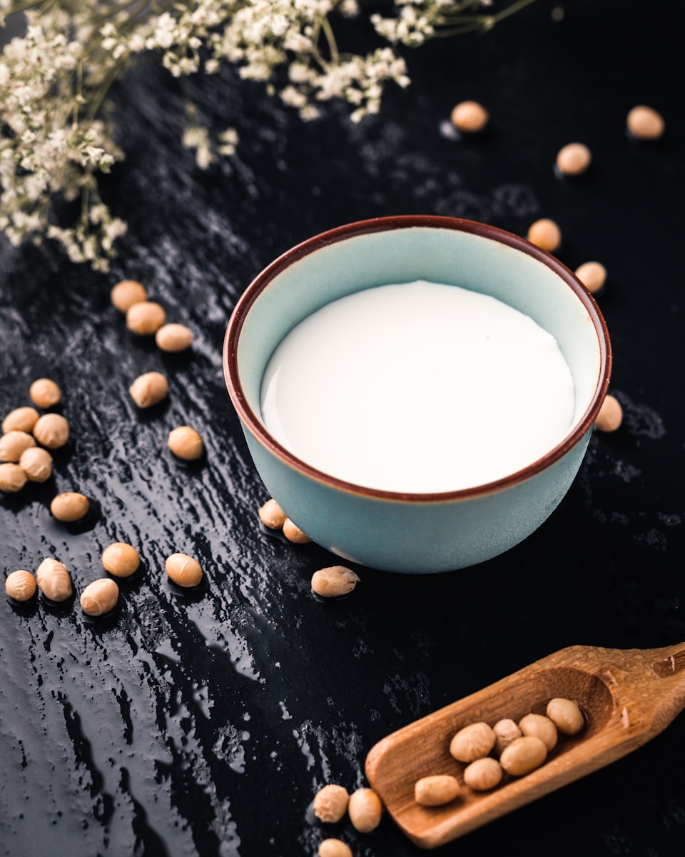 Plant-Based Milk Equipment