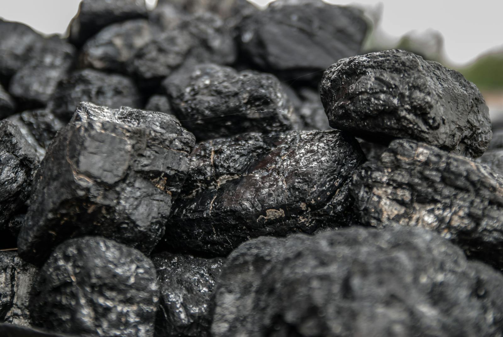 Detailed image of dark, textured coal pieces in a close-up view, highlighting their rugged surface.