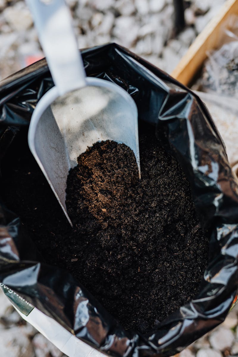 Compost