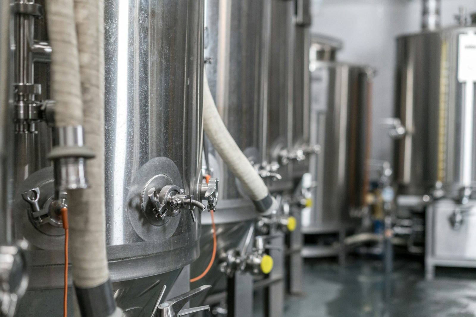 Yeast rehydration system for beer brewing