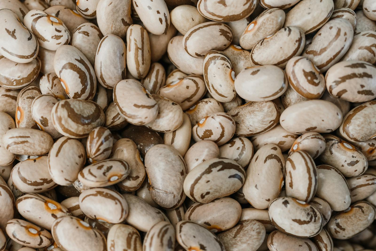 Dry beans