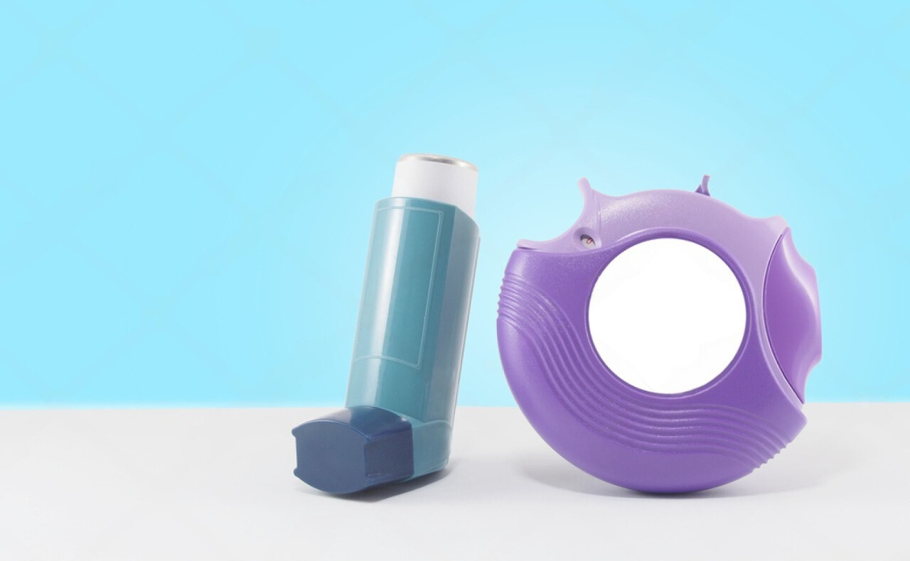 Dry powder inhalants (dpi)